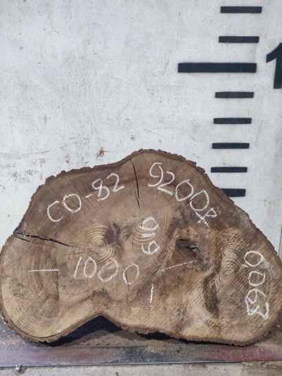 Спил СО-82 Орех 1000*610*100