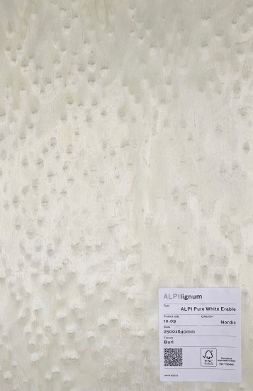 Pure White Erable 10.09