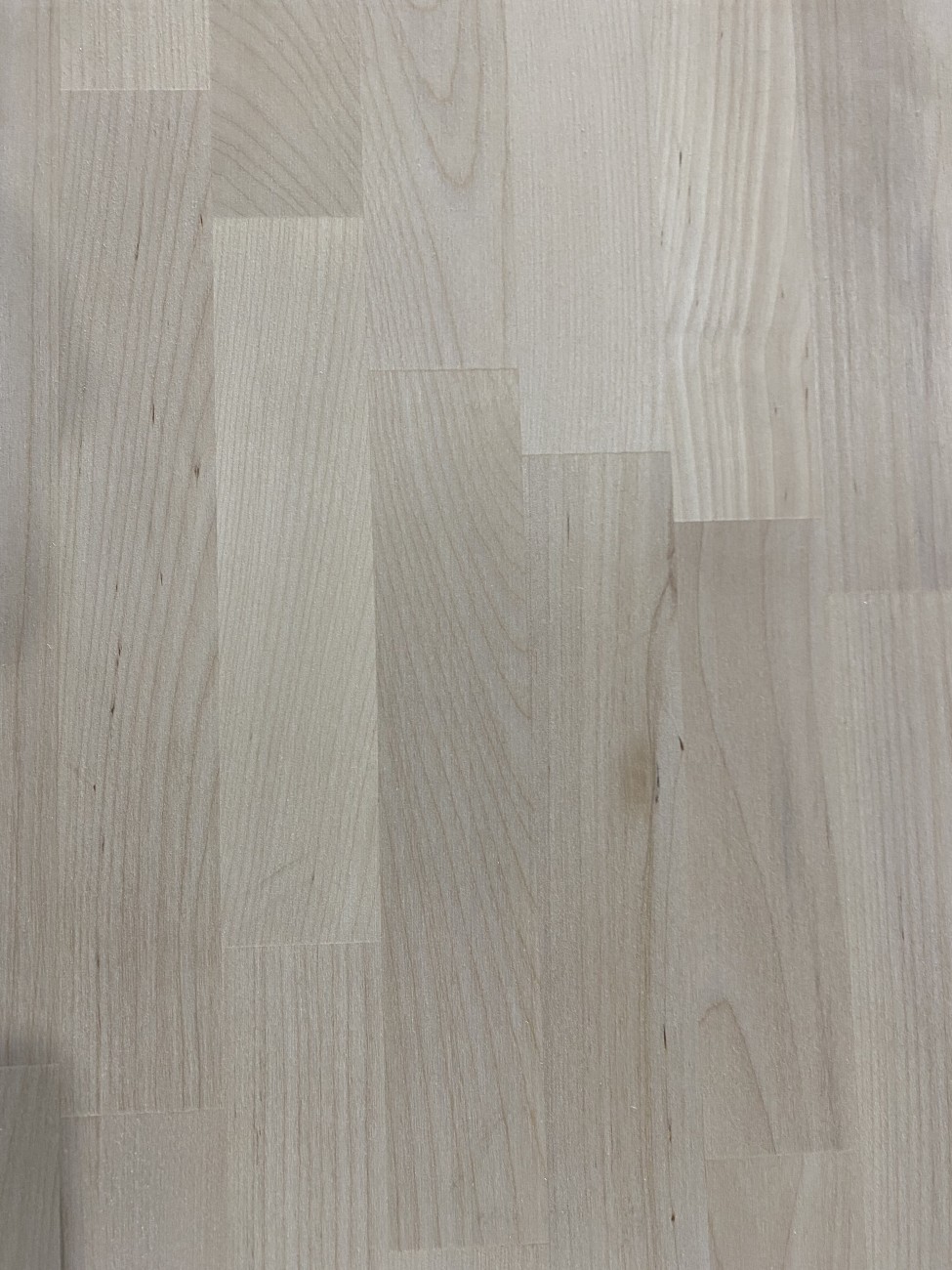 Береза Сращенная