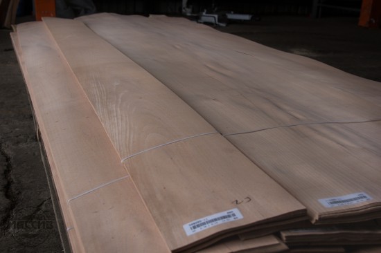 Шпон Бук 0,6 мм